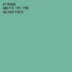 #71B59E - Silver Tree Color Image